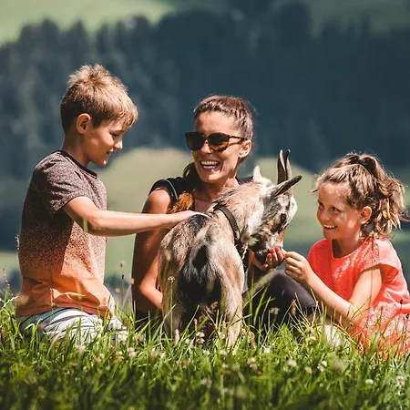 Mountainview Apartahotel 4*