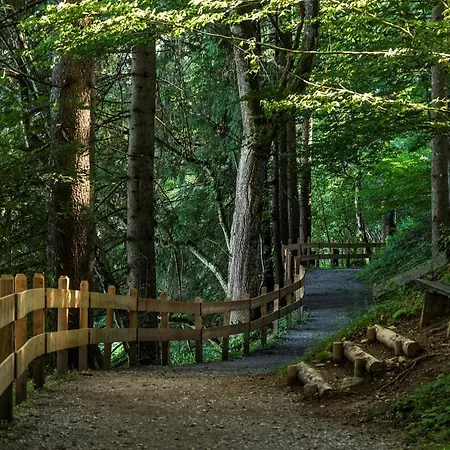 מלון דירות Mountainview 4*