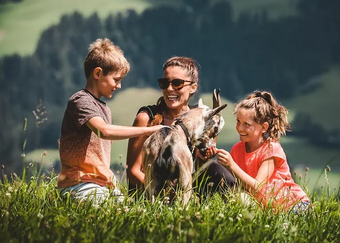 Mountainview Apart-hotel 4*